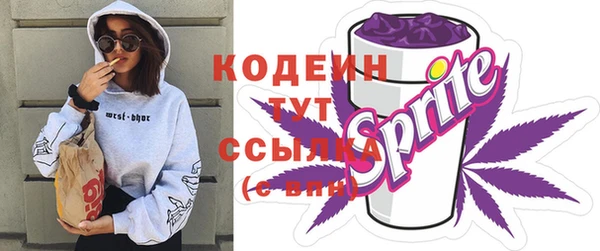 дмт Дмитров