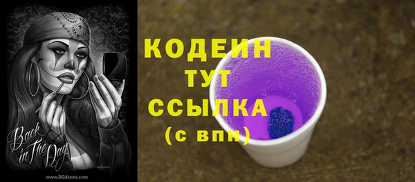 дмт Дмитров