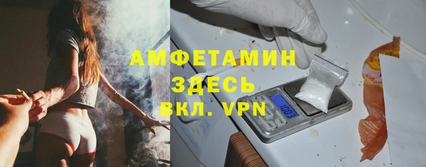 стаф Дмитриев