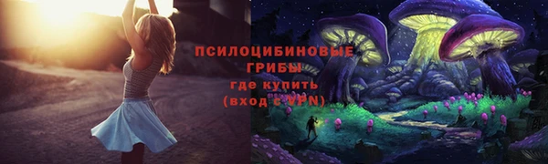 дмт Дмитров