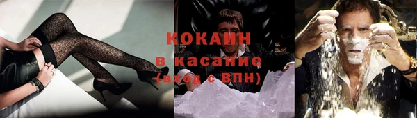 стаф Дмитриев