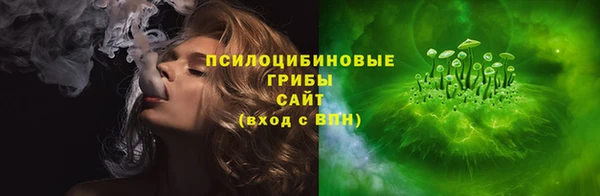стаф Дмитриев