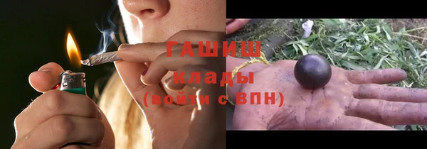 стаф Дмитриев