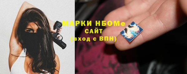 стаф Дмитриев