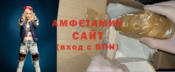 стаф Дмитриев