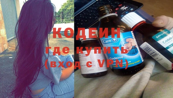 стаф Дмитриев