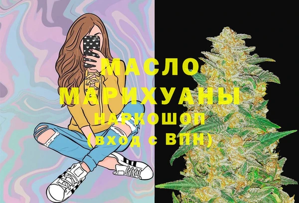 дмт Дмитров