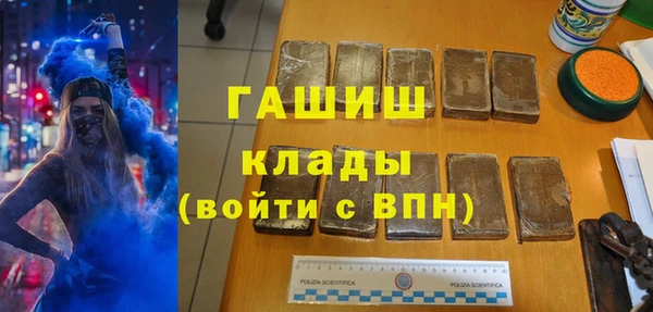 стаф Дмитриев