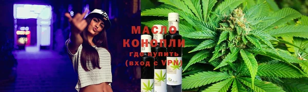 стаф Дмитриев